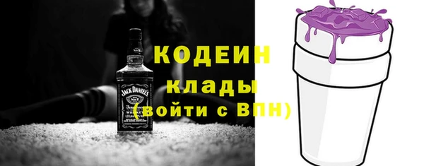 дживик Нязепетровск