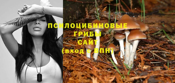 кристаллы Няндома