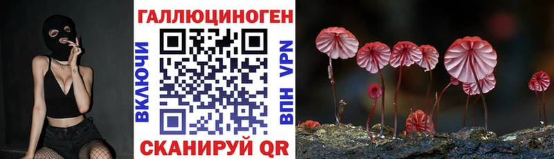 МЕГА зеркало  Уржум  Псилоцибиновые грибы Psilocybine cubensis 